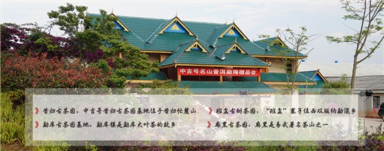 茶園基地