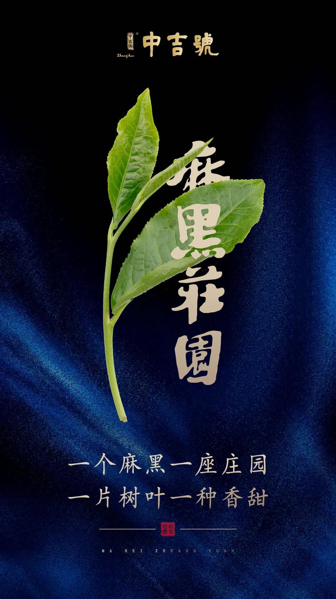 中吉號(hào)麻黑莊園普洱茶 中吉號(hào)麻黑莊園普洱茶